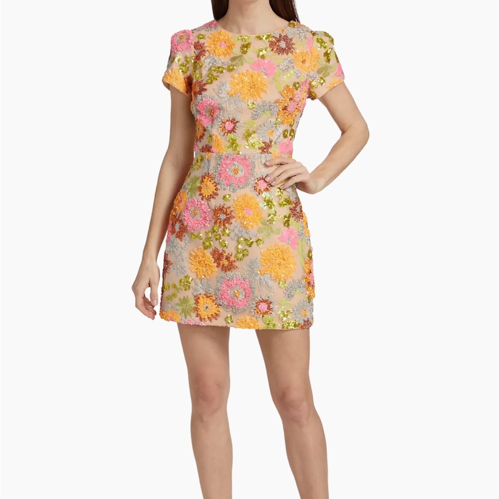 Milly Floral Embroidered Mini Dress - Pink, Orange, Green